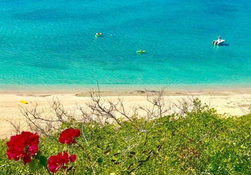 Eden Bay Eco Lodge