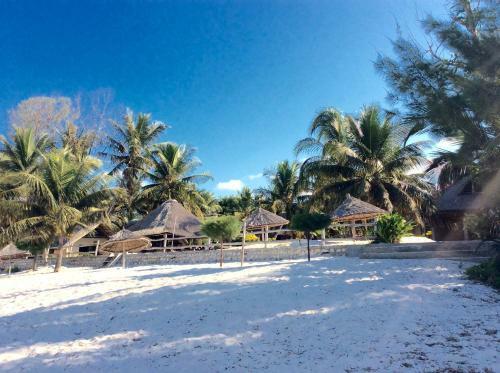 Albergue Beach Village Backpackers
