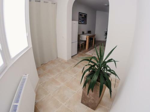 Apartamento 1 Bedroom Flat Near Shopping Malldova!