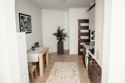 Apartamento 1 Bedroom Flat Near Shopping Malldova!