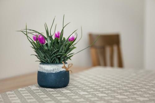 Apartamento 1 Bedroom Flat Near Shopping Malldova!