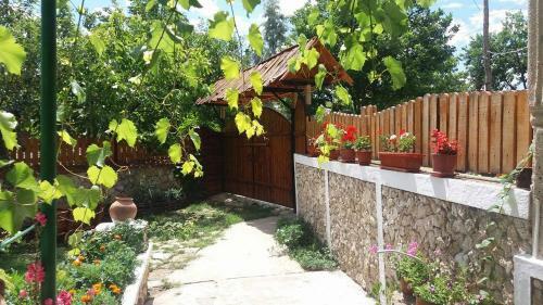 Hostal Casa De Sub Stinca