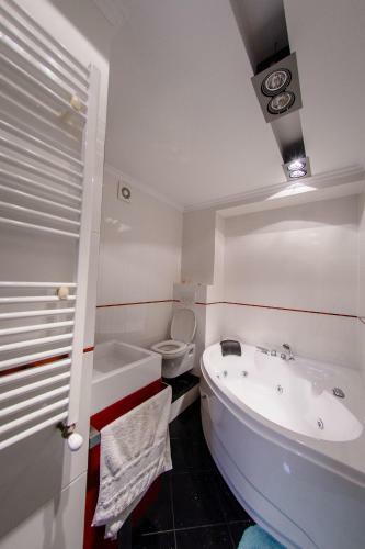 Dosoftei Ultracentral Apartment