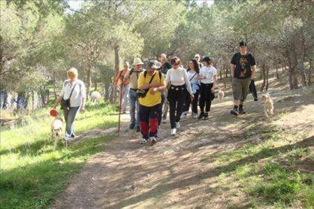 Hostal Mitanni
