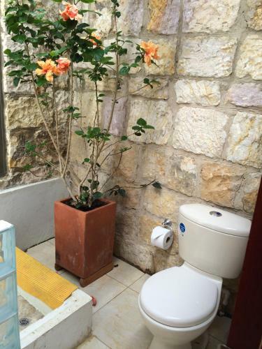 Hostal Mitanni