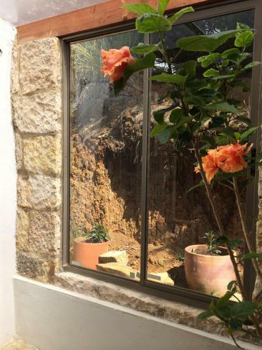 Hostal Mitanni