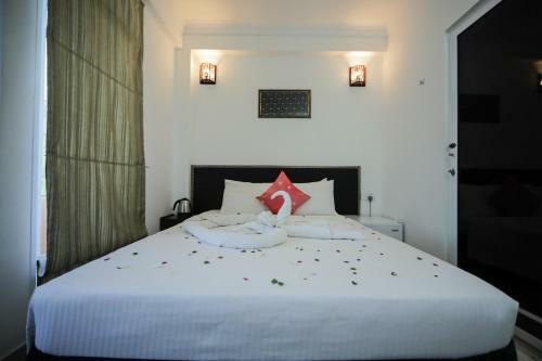 Hostal Vilu Rest
