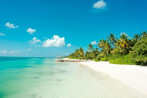 Hotel Canareef Resort Maldives