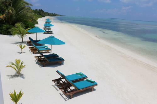 Hotel Canareef Resort Maldives