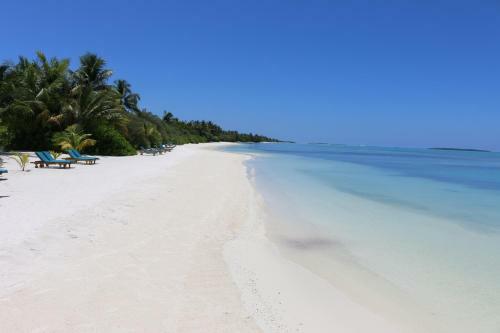 Hotel Canareef Resort Maldives