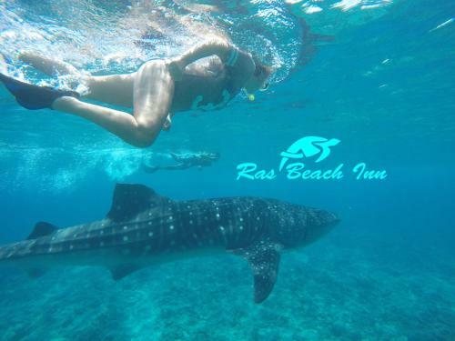 Hostal Ras Beach Inn