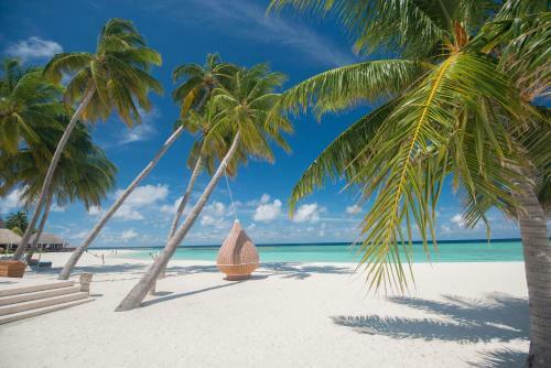 Hotel Veligandu Island Resort & Spa