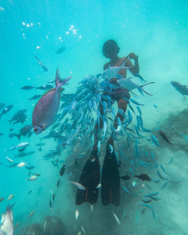 Hostal Rasreef Rasdhoo Maldives