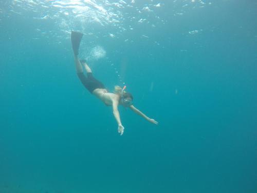 Hostal Rasdhoo Coralville