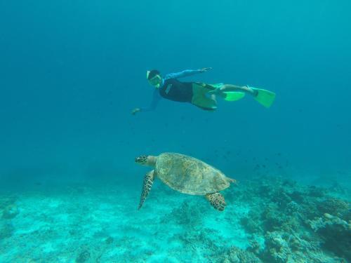Hostal Rasdhoo Coralville