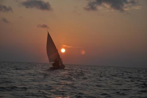 Hostal Rasdhoo Coralville