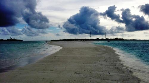Hostal Rasdhoo Coralville
