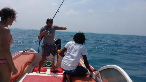 Hostal Rasdhoo Coralville