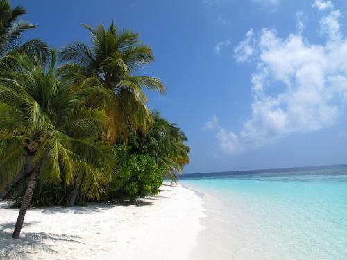 Hostal Equa Reef Maldives