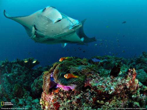 Hostal Equa Reef Maldives