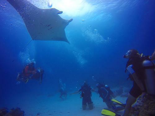 Hostal Equa Reef Maldives
