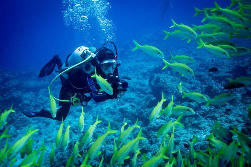 Hostal Equa Reef Maldives