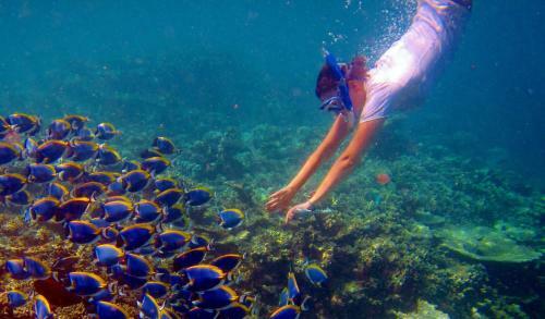 Hostal Equa Reef Maldives