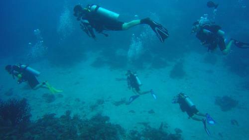Hostal Equa Reef Maldives