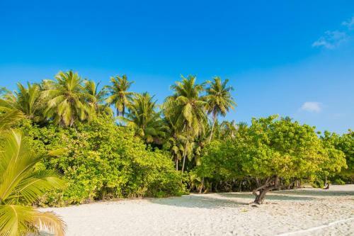 Hostal Kirulhiya Maldives