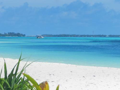 Hostal Whale Shark Inn