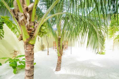 Hostal Whale Shark Inn