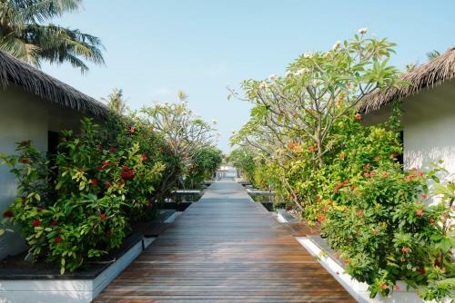 Viviendas Turisticas Noku Maldives