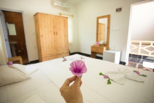 Hostal Faza View Inn