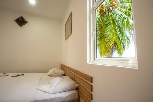 Hostal Faza View Inn