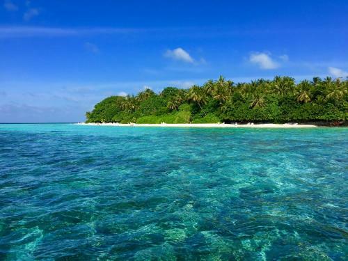 Hostal Faza View Inn