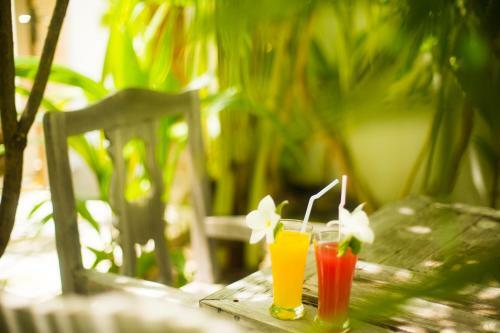 Hostal Faza View Inn