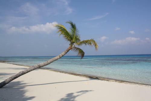 Hostal Boutique Beach All Inclusive Diving Hotel