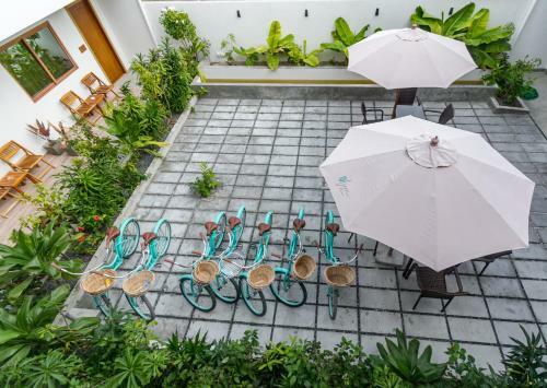 Hostal Olive Goidhoo