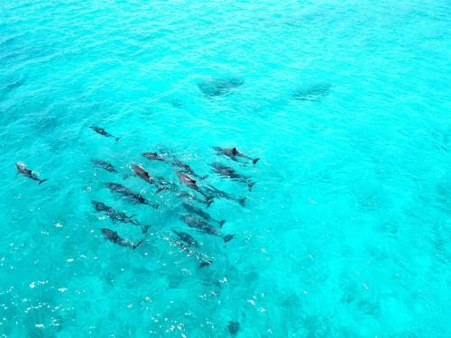 Hostal Athiri Beach Maldives
