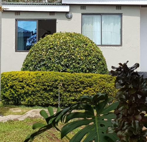 Bed & Breakfast Chinyonga Guesthouse