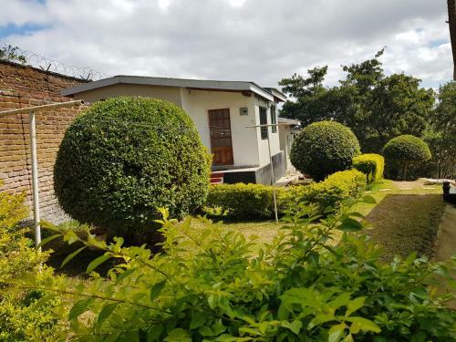 Bed & Breakfast Chinyonga Guesthouse