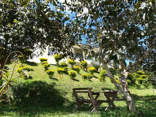 Bed & Breakfast Hill Of Grace