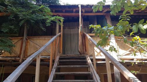 Mufasa Eco Lodge