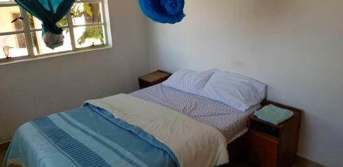 Viphya Lodges