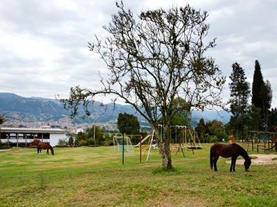 D'acosta Hotel Sochagota