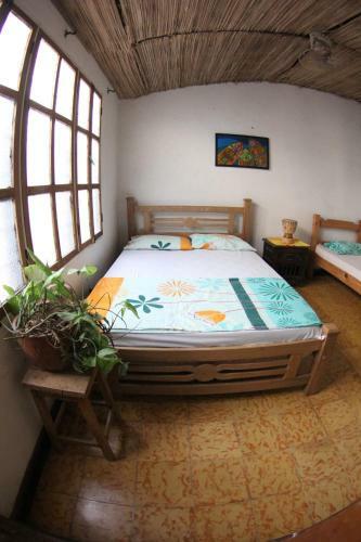 Villa Mandela Hostel Casa Mojito