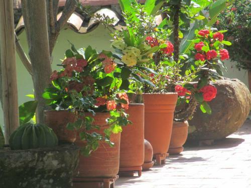 Hostal La Castiza