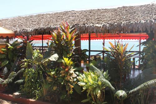 Hotel Kartiffa