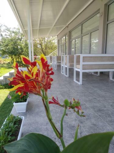 Apartments Eon Gevgelija
