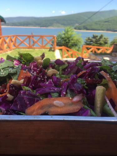 Perfect Lodge House Mavrovo